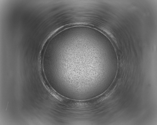 X0000072530933200607290220