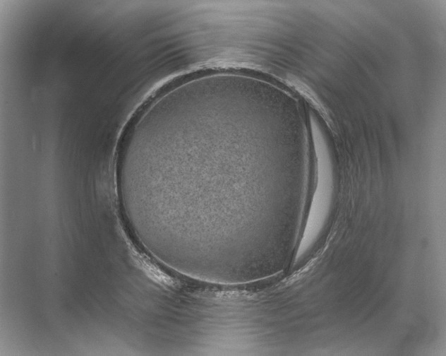 X0000072530934200607290220