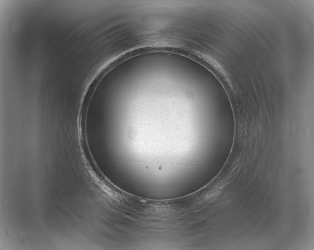 X0000072530935200607290220