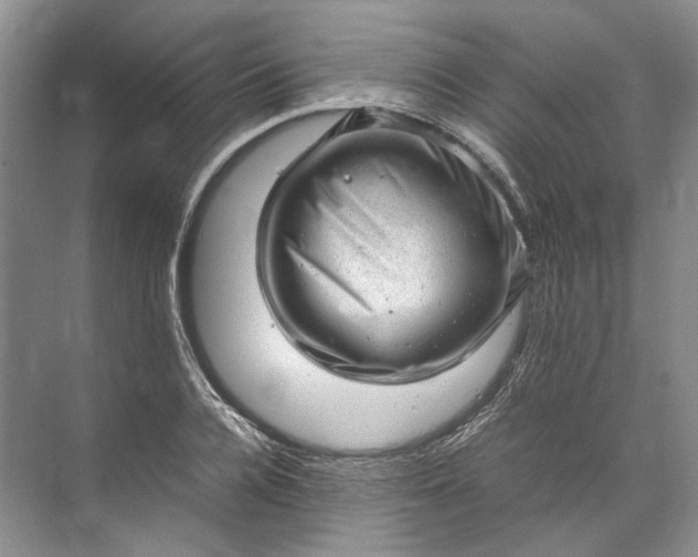 X0000072530936200607290220