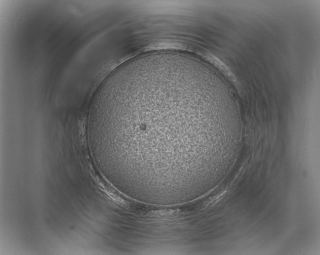 X0000072530937200607290220