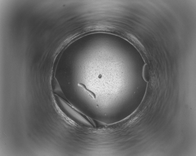 X0000072530938200607290220