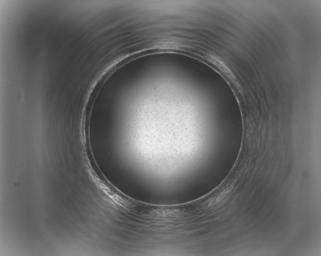 X0000072530939200607290220