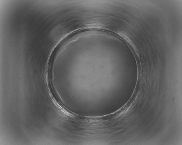 X0000072530941200607290220