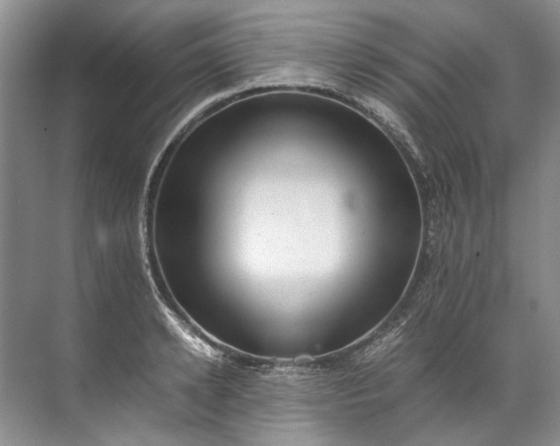 X0000072530942200607290221