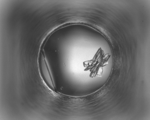 X0000072530943200607290221