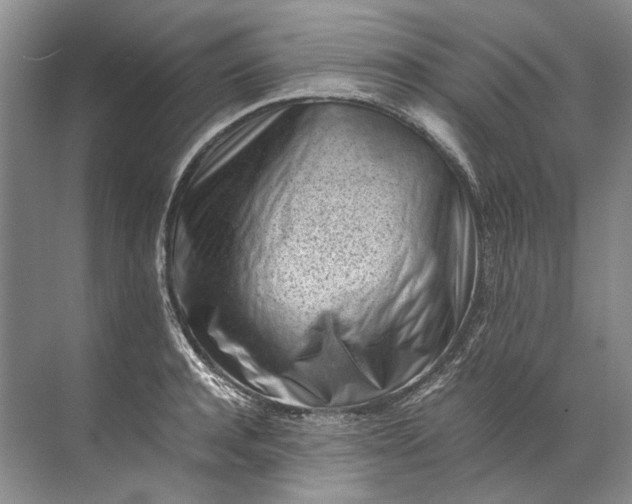 X0000072530944200607290221