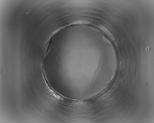 X0000072530945200607290221