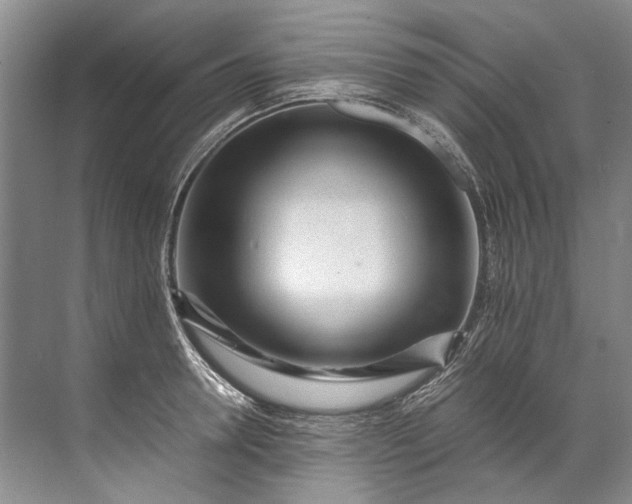 X0000072530946200607290221