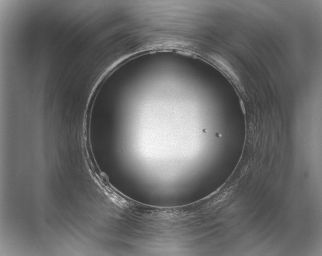 X0000072530948200607290221