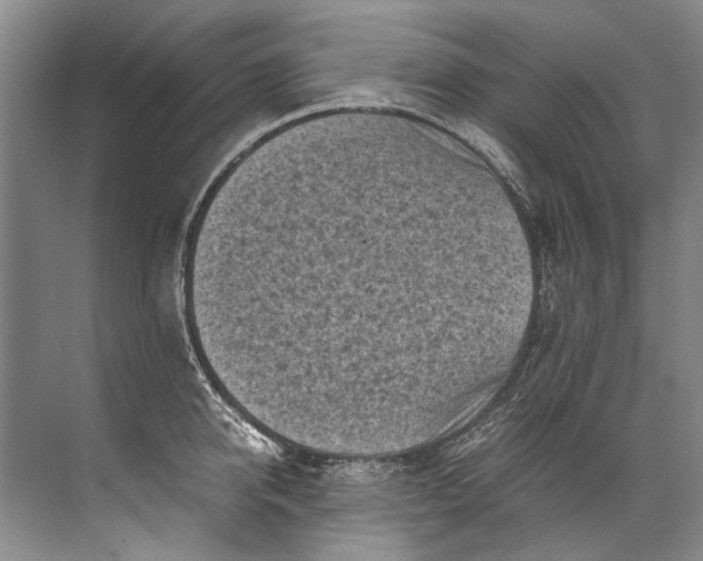 X0000072530950200607290221