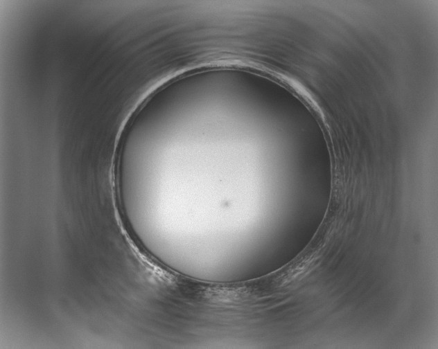 X0000072530951200607290221