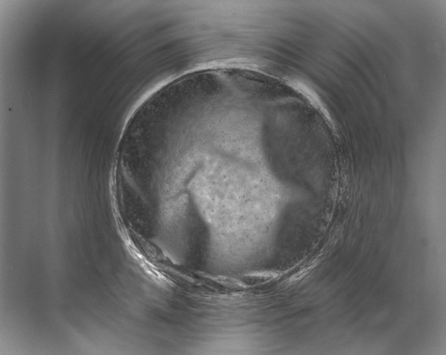 X0000072530952200607290221