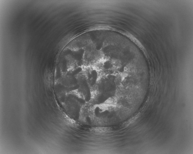 X0000072530953200607290221