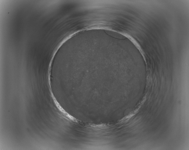 X0000072530957200607290221