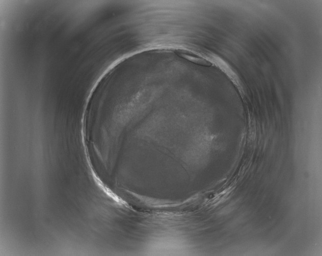 X0000072530958200607290221