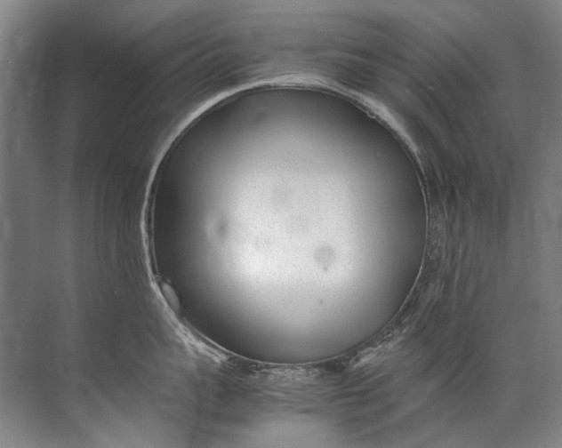 X0000072530959200607290221