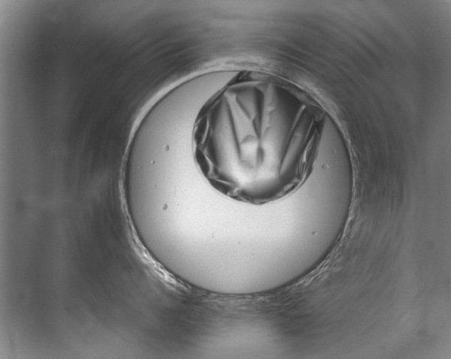 X0000072530960200607290221