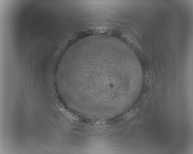 X0000072530961200607290220