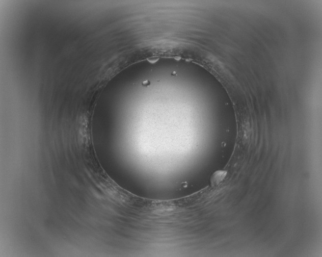 X0000072530964200607290220