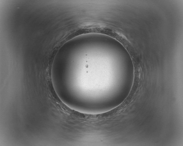 X0000072530965200607290220