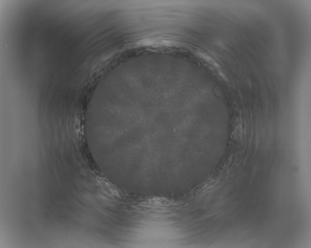 X0000072530966200607290220