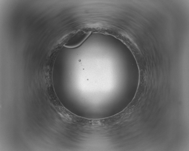 X0000072530968200607290220