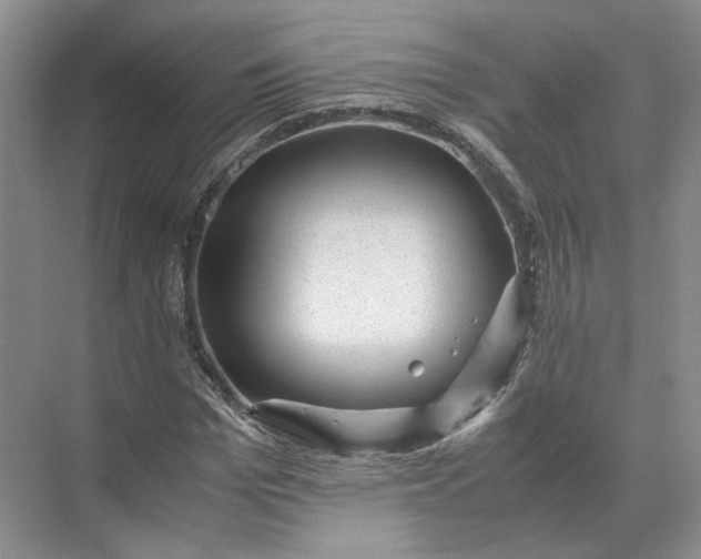 X0000072530969200607290220