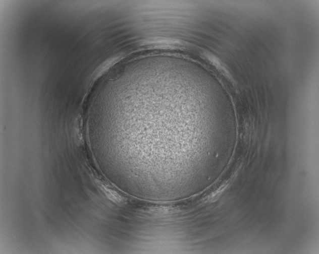 X0000072530970200607290220