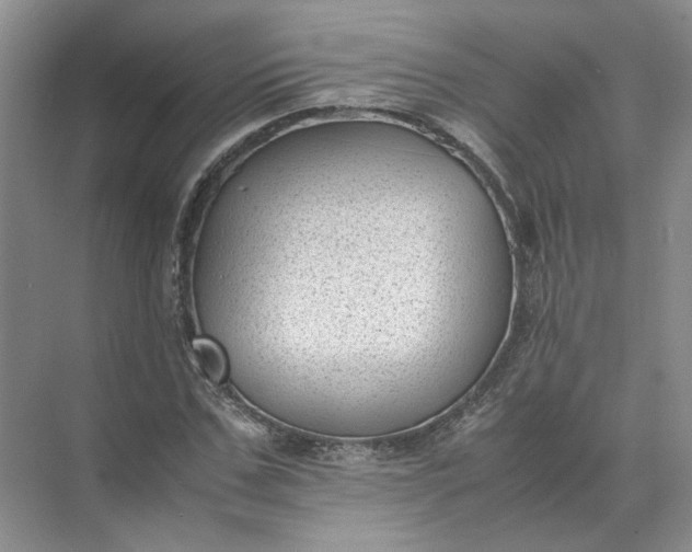 X0000072530971200607290220