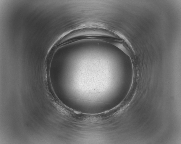 X0000072530973200607290220