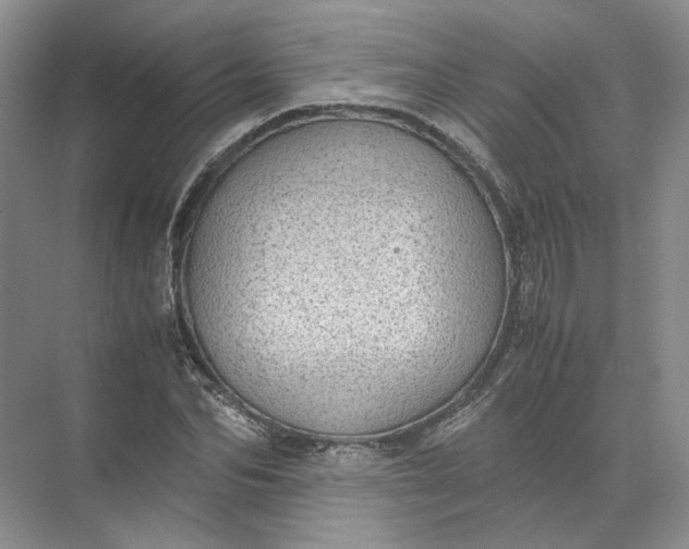 X0000072530974200607290220