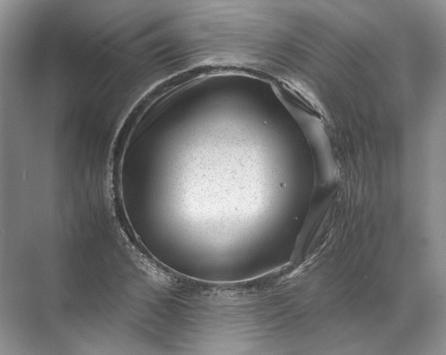 X0000072530976200607290220