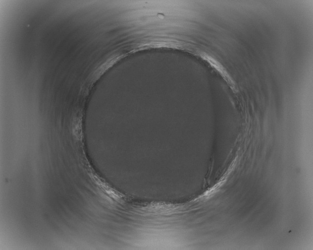 X0000072530977200607290220