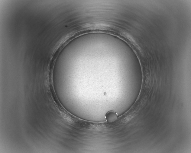 X0000072530978200607290220