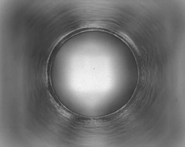 X0000072530980200607290220