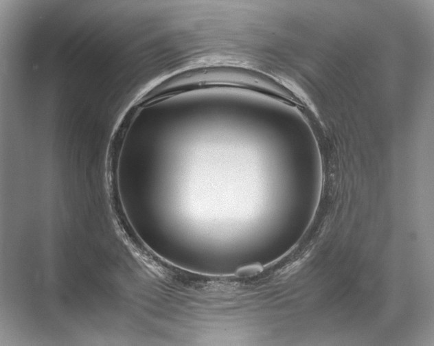 X0000072530981200607290220