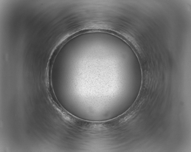 X0000072530982200607290220