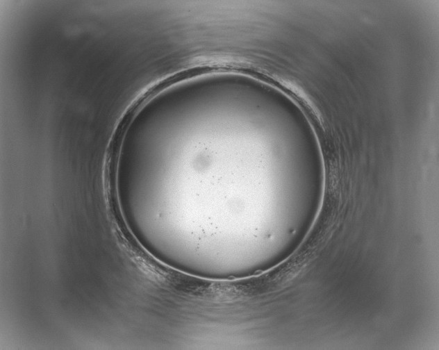 X0000072530983200607290220