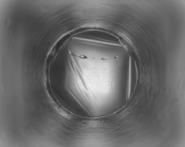 X0000072530984200607290220