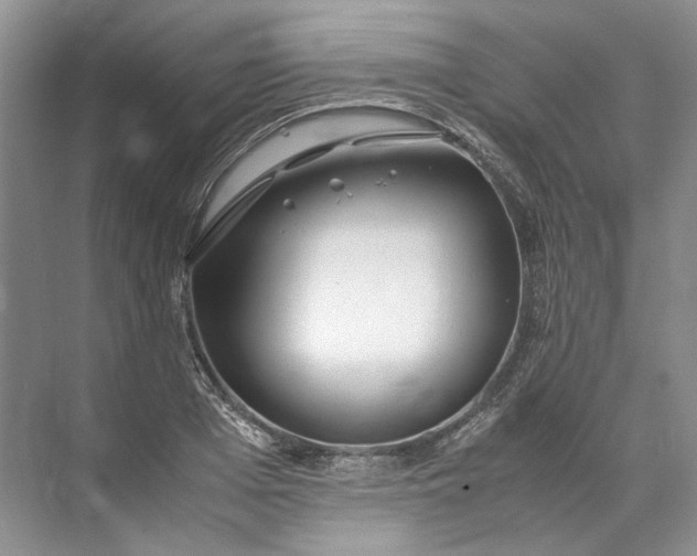 X0000072530985200607290220