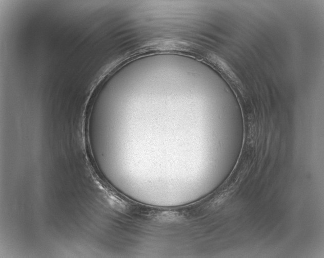 X0000072530986200607290220