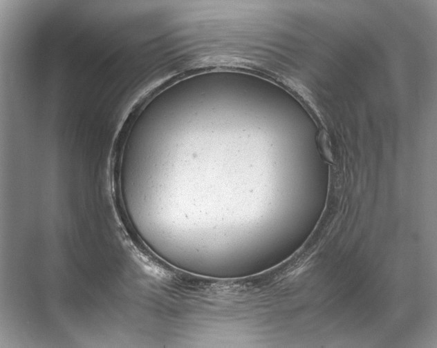 X0000072530987200607290220