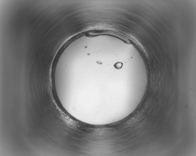 X0000072530988200607290220