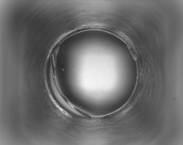 X0000072530989200607290220