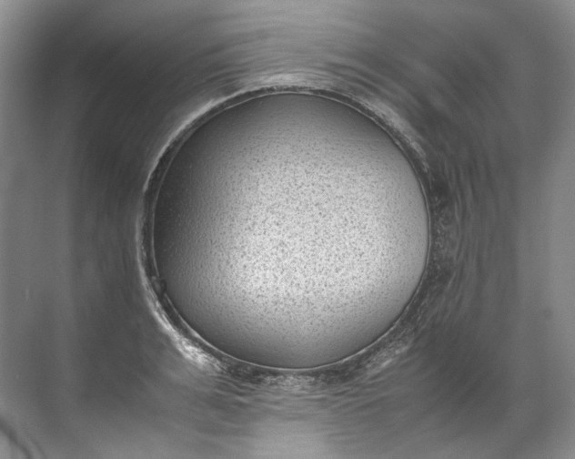 X0000072530991200607290220