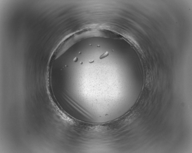 X0000072530992200607290219