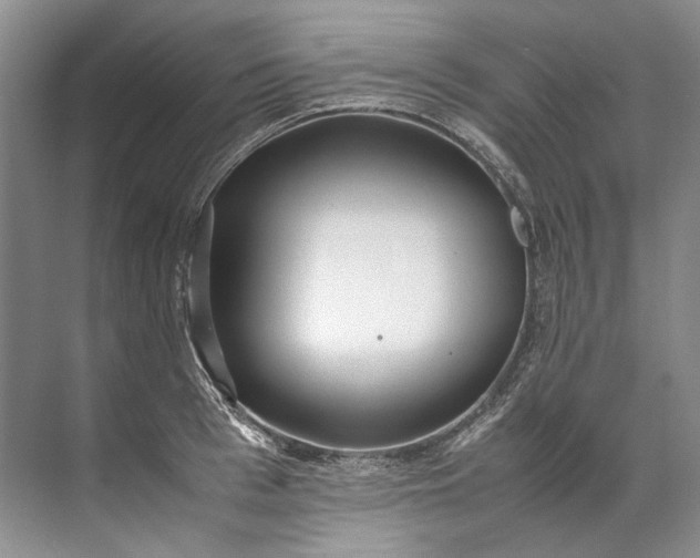 X0000072530993200607290219