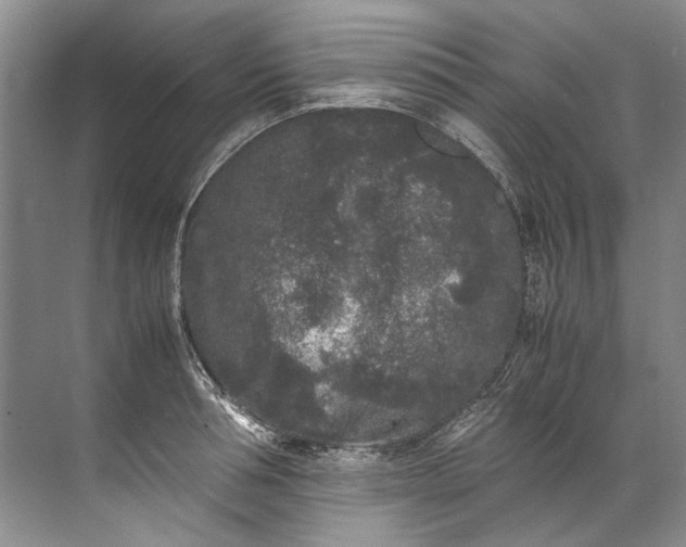 X0000072530994200607290219