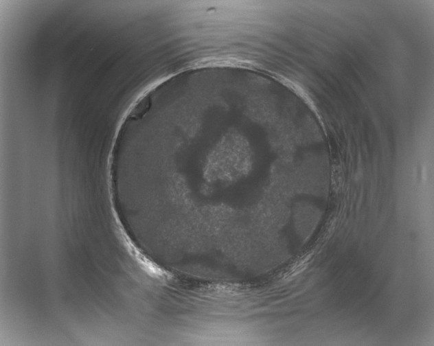 X0000072530995200607290219